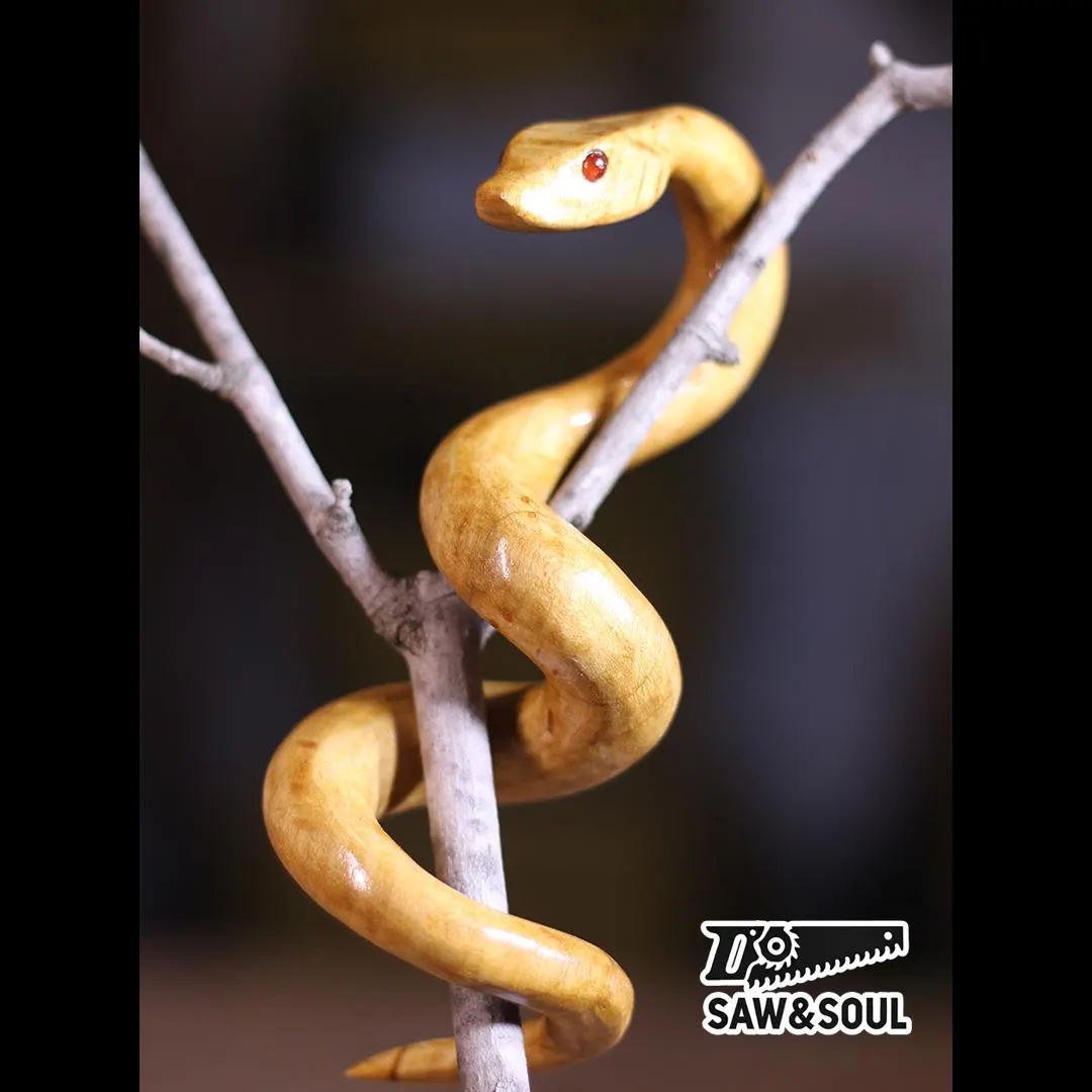 SL2153 Bandsaw Snake Plan - PDF File