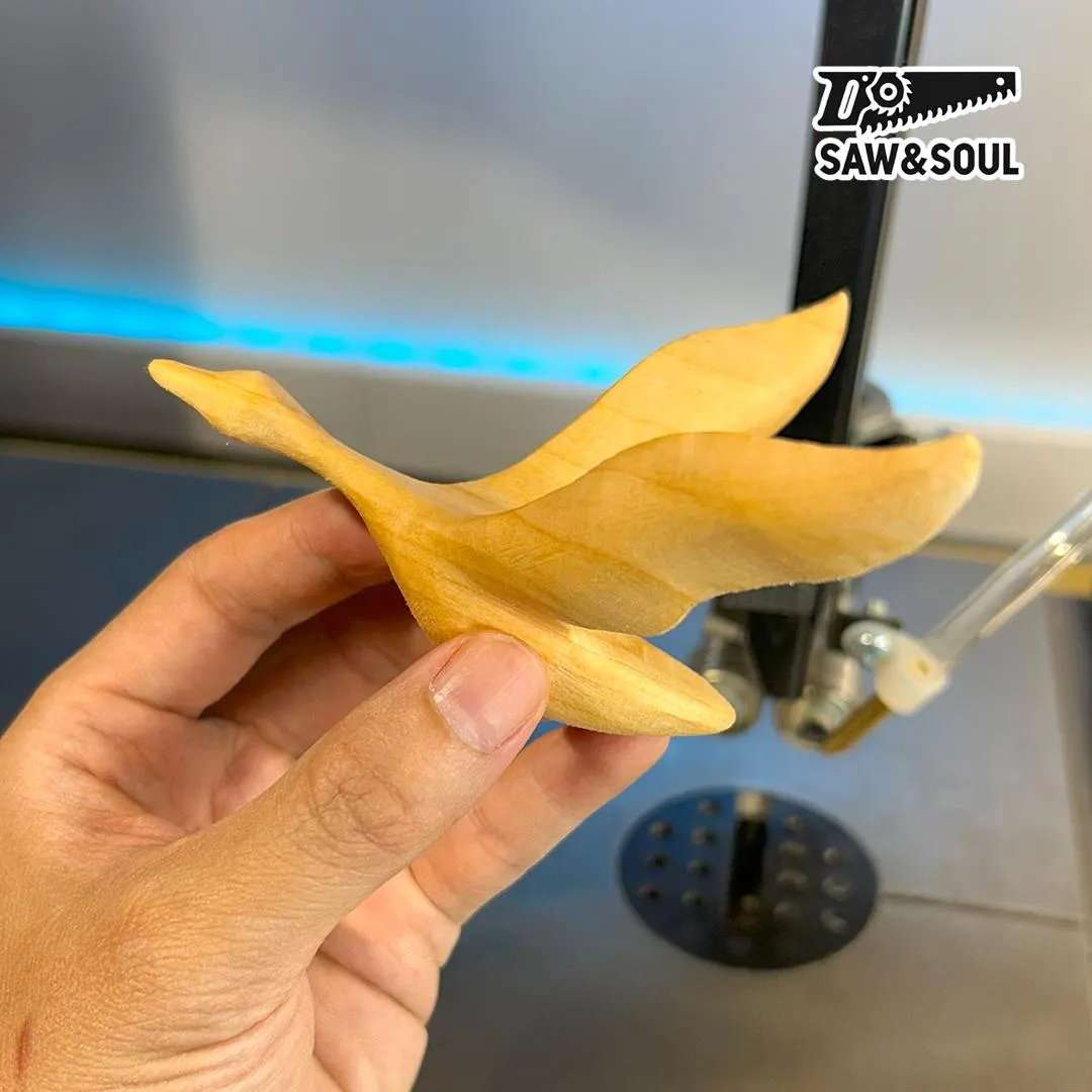SL2087 Bandsaw Flight Plan--PDF file